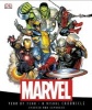 Marvel Year by Year - A Visual Chronicle (Hardcover, Updated, Expand) - Peter Sanderson Photo