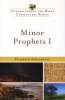 Minor Prophets I (Paperback) - Elizabeth Achtemeier Photo