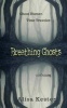 Breathing Ghosts - A Time Travel Adventure (Molly Claire Book 1) (Paperback) - Alisa Kester Photo