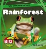 Rainforest (Paperback) - Anita Ganeri Photo