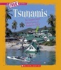 Tsunamis (Paperback) - Chana Stiefel Photo