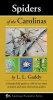 Spiders of the Carolinas - A Handy Field Guide to 100 of Our Most Common and Interesting Spiders (Paperback) - LL Gaddy Photo