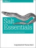 Salt Essentials (Paperback) - Craig Sebenik Photo