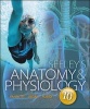 Seeley's Anatomy & Physiology (Hardcover, 10th Revised edition) - Cinnamon L VanPutte Photo