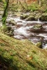 Time Lapse of a Stream in Idaho - Blank 150 Page Lined Journal for Your Thoughts, Ideas, and Inspiration (Paperback) - Unique Journal Photo