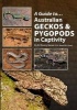 A Guide to Australian Geckos & Pygopods in Captivity (Paperback) - Danny Brown Photo