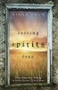 Setting Spirits Free - Clear Negative Energy and Help Ghosts Cross Over (Paperback) - Diana Palm Photo