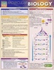 Molecular Biology (Poster) - Randy Brooks Photo