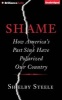 Shame - How America's Past Sins Have Polarized Our Country (Standard format, CD) - Shelby Steele Photo