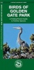 Birds of Golden Gate Park (Pamphlet) - Golden Gate Audubon Society Photo