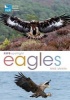 RSPB Spotlight: Eagles (Paperback) - Mike Unwin Photo