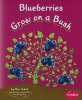 Blueberries Grow on a Bush (Paperback) - Mari Schuh Photo