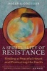 A Spirituality of Resistance - Finding a Peaceful Heart and Protecting the Earth (Paperback, Revised) - Roger S Gottlieb Photo