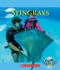 Stingrays (Paperback) - Jennifer Zeiger Photo