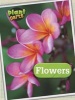 Flowers (Paperback) - Melanie Waldron Photo