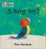 A Day Out - Band 04/Blue (Paperback) - Petr Horacek Photo