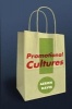 Promotional Cultures - the Rise and Spread of Advertising, Public Relations, Marketing and Branding (Paperback) - Aeron Davis Photo