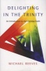 Delighting in the Trinity - An Introduction to the Christian Faith (Paperback) - Michael Reeves Photo