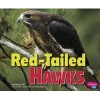 Red-Tailed Hawks (Hardcover) - Gail Saunders Smith Photo