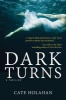 Dark Turns (Hardcover) - Cate Holahan Photo