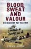 Blood, Sweat and Valour - 41 Squadron RAF, August 1942-May 1945: a Biographical History (Hardcover) - Steve Brew Photo