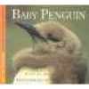 Baby Penguin (Paperback) - Audrey Lang Photo