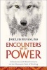 Encounters with Power - Adventures and Misadventures on the Shamanic Path of Healing (Paperback) - Jose Luis Stevens Photo