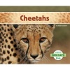 Cheetahs (Hardcover) - Claire Archer Photo