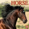 The Cal 2017-Spirited Horse (Calendar) - Inc Sellers Publishing Photo