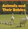 Animals and Their Babies (Paperback) - Chloe Morrison Photo