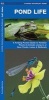 Pond Life: An Introduction to Familiar Plants and Animals Living in or Near Ponds, Lakes and Wetlands (Hardcover) - James Kavanagh Photo