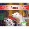 Ratas (Rats) (English, Spanish, Hardcover) - Grace Hansen Photo