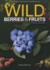 Wild Berries & Fruits Field Guide of Minnesota, Wisconsin and Michigan (Paperback) - Teresa Marrone Photo