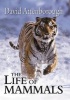 The Life of Mammals (Hardcover) - David Attenborough Photo