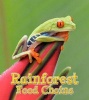 Rainforest Food Chains (Paperback) - Angela Royston Photo