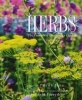 Herbs - The Complete Gardener's Guide (Paperback) - Patrick Lima Photo