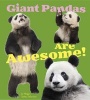 Giant Pandas Are (Paperback) - Megan C Peterson Photo