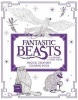 Fantastic Beasts and Where to Find Them - Magical Creatures Coloring Book (Paperback) - Harper Design Photo