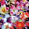 500 Flowers (Hardcover) - Roger Camp Photo