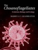 The Choanoflagellates - Evolution, Biology and Ecology (Hardcover) - Barry SC Leadbeater Photo