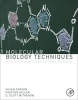 Molecular Biology Techniques - A Classroom Laboratory Manual (Paperback, 3rd Revised edition) - Sue Carson Photo