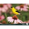 Goldfinch in the Garden (Hardcover) - Stan Tekiela Photo