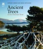 Ancient Trees of the National Trust (Hardcover) - Edward Parker Photo