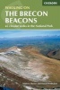 The Brecon Beacons - Walking on the Brecon Beacons (Paperback, 2nd Revised edition) - Andrew Davies Photo