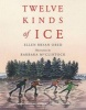 Twelve Kinds of Ice (Paperback) - Ellen Bryan Obed Photo