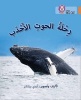 Collins Big Cat Arabic Readers - Journey of Humpback Whales: Level 12 (Arabic, Paperback) - Andy Belcher Photo