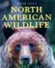 North American Wildlife (Paperback) - David Jones Photo