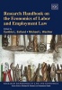 Research Handbook on the Economics of Labor and Employment Law (Hardcover) - Michael L Wachter Photo