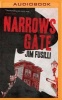 Narrows Gate (MP3 format, CD) - Jim Fusilli Photo