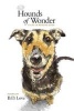 Hounds of Wonder - A Life in Rescue Dogs (Paperback) - B D Love Photo